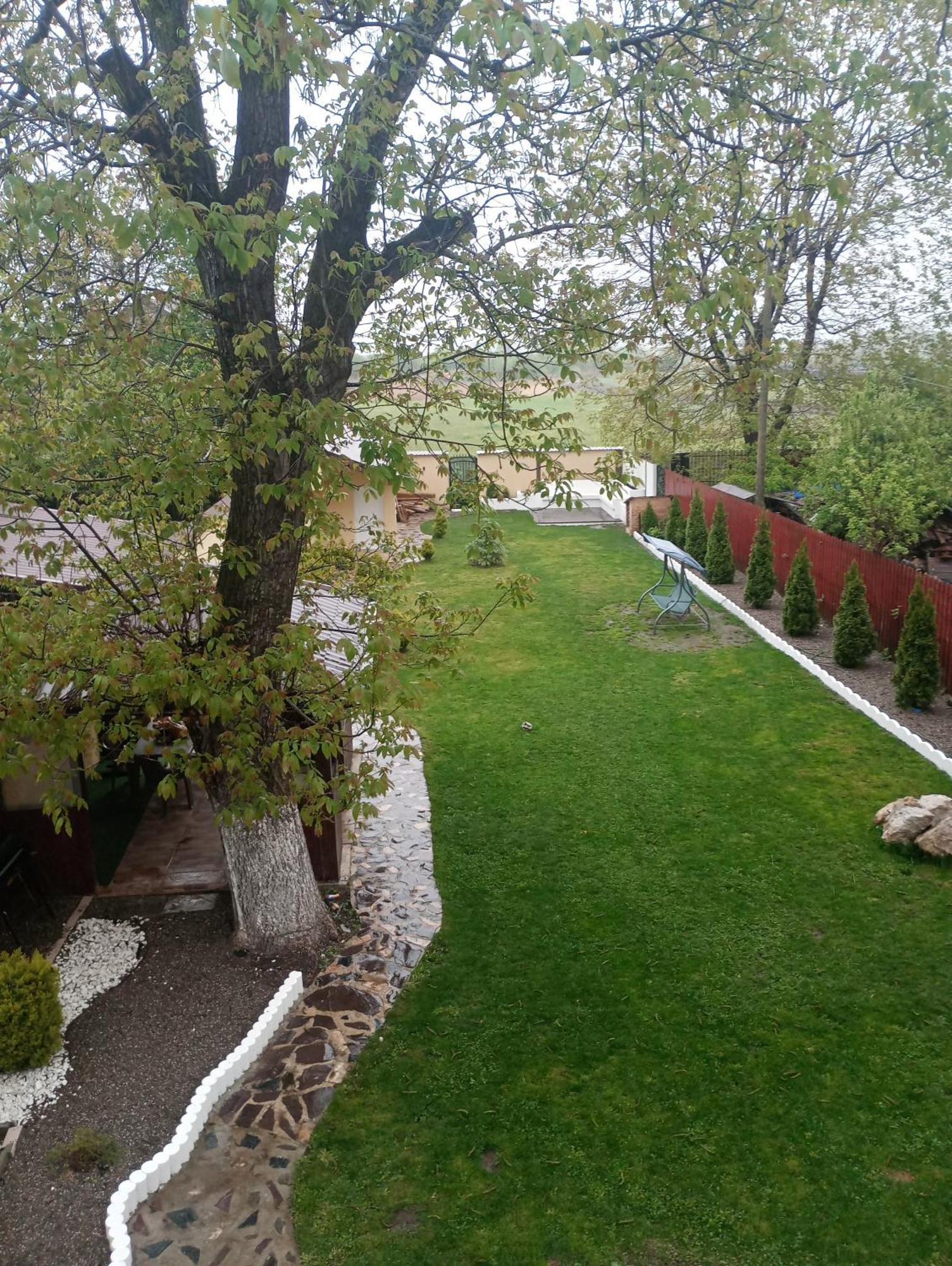 Izabella Guest House Сачеле Екстер'єр фото